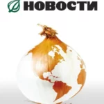 луковые новости 2008 смотреть онлайн